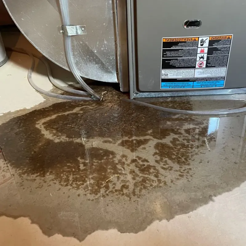 Pipe Burst and Leak Restoration in Kittery, ME